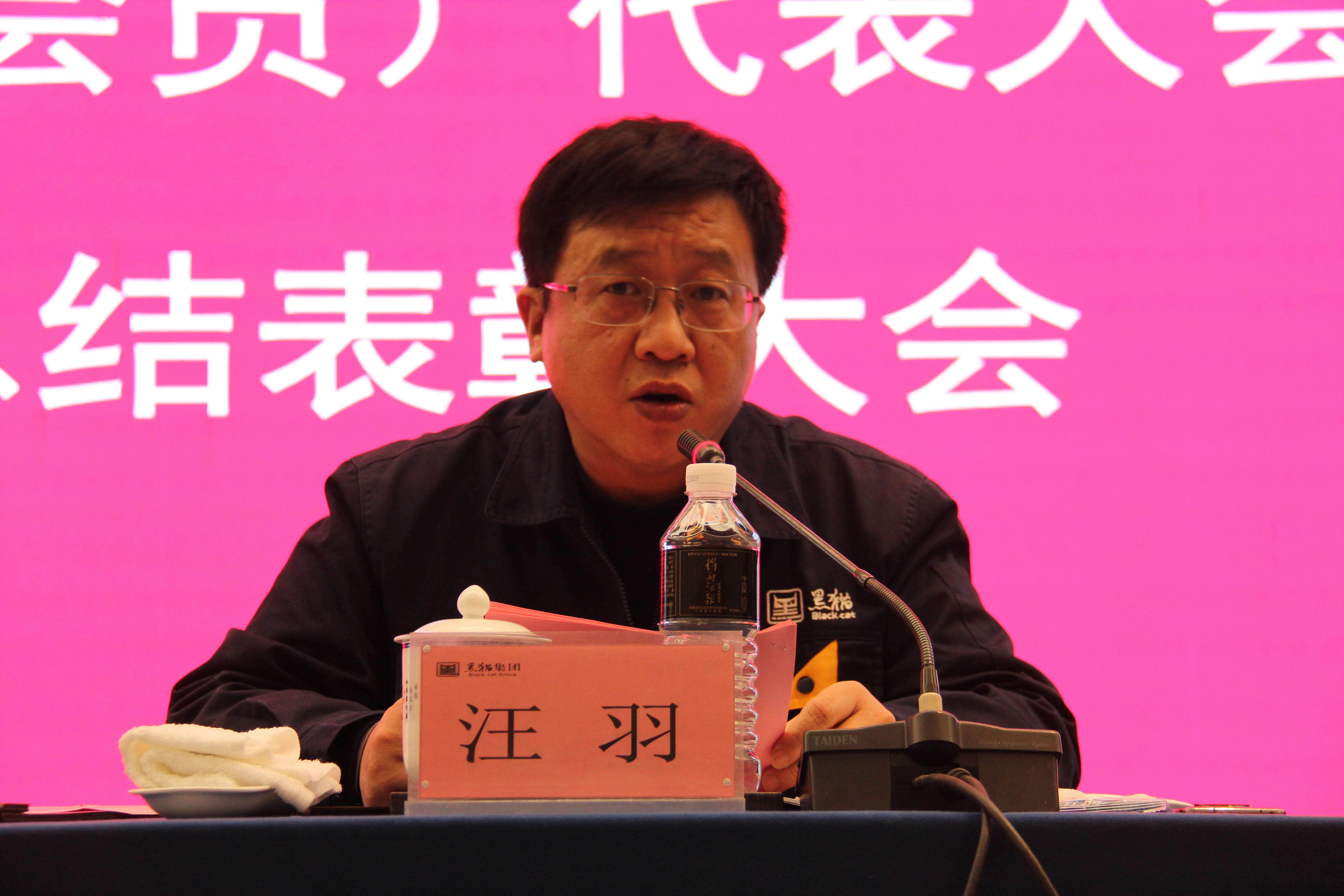 黑貓集團(tuán)黨委副書記、總經(jīng)理汪羽發(fā)言 (2).JPG