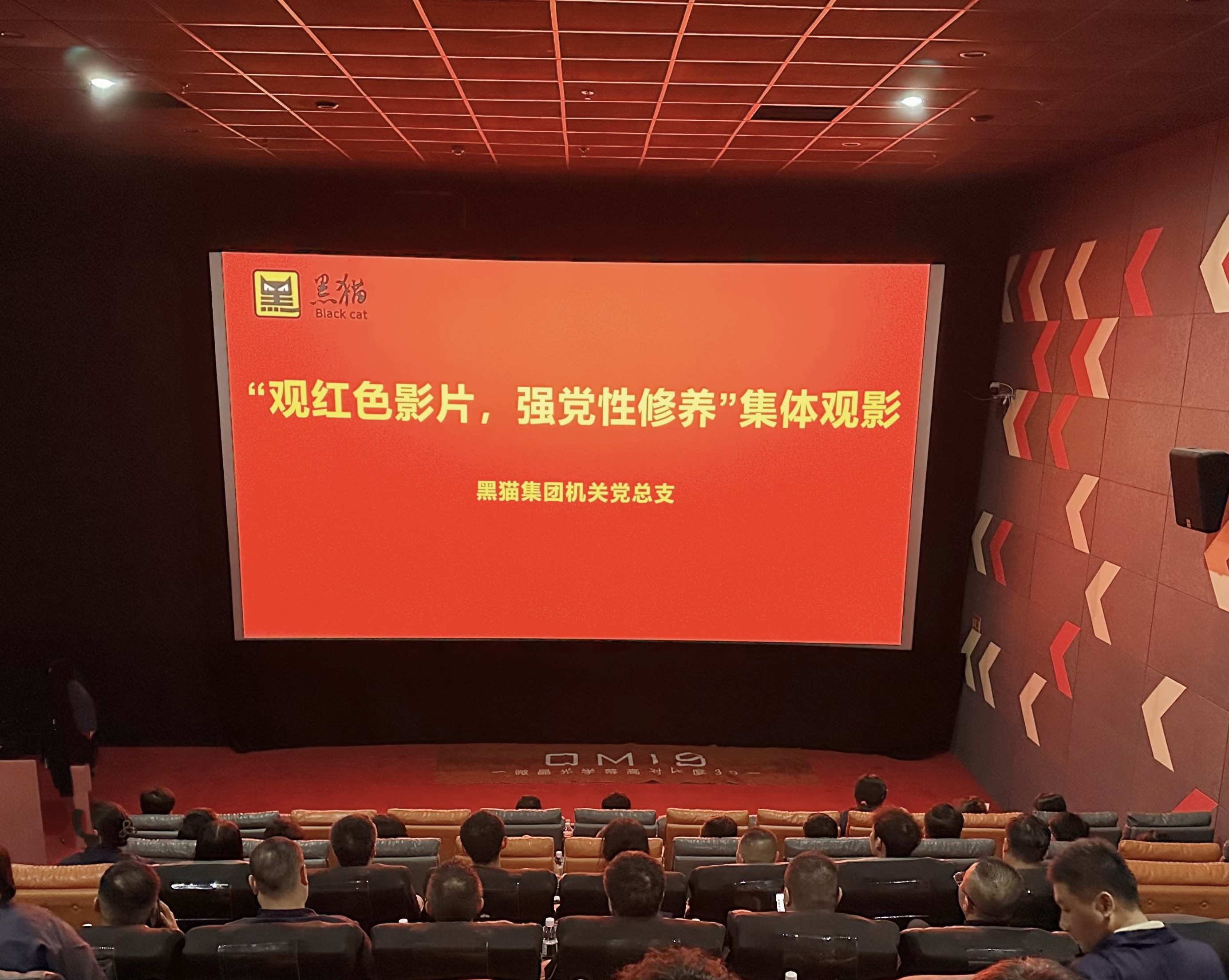 觀影現(xiàn)場.jpg